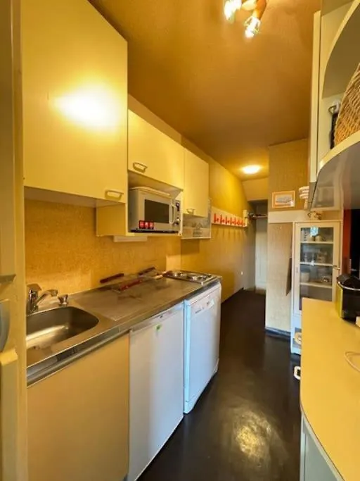 Apartment Charmant Petit Appart Au Pieds Des Pistes Pour 4Pers Le Devoluy
